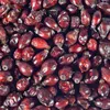 Supravit Hagebutten 2 kg | Ganze getrocknete Früchte mit Produktbild-Vorschau 2