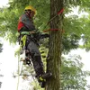 TreeUp ocelové skoby DR-1.0 Neon Orange stromové skoby Náhled obrázku produktu 2
