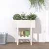 vidaXL Kvetináč biely 62x30x69 cm Masívne borovicové drevo Náhľad obrázku produktu 2