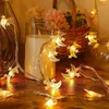 Ramadán pohádkové světla 1,5M 10LED měsíc s 3 hvězdami Náhled obrázku produktu 6