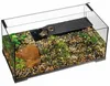Terrarium, Paludarium Exo Terra EX Turtle Haven Produktbild-Vorschau 3