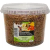 A clear, well-lit product shot of a large plastic tub filled with dried mealworms, with a label featuring images of animals that eat mealworms. Produktbild-Vorschau