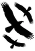 Hermann Schütz Aufkleber Kontur Vogel-Sortiment 3teilig 3 Produktbild-Vorschau 2