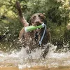 Chuckit Amphibious Bumper Small Voir les images du produit 6