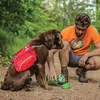 Kurgo Hunde-Rucksack Baxter M Rot Produktbild-Vorschau 9