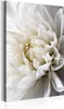 Vlies Leinwandbild - White Dahlia 20x30 cm Blumen Produktbild-Vorschau 3