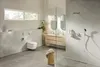 GROHE Sensia Pro, Bílá, 1 kusů Náhled obrázku produktu 11