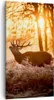 Bild auf Leinwand - Leinwandbild - Deer Heidekraut Tier - Produktbild-Vorschau 1