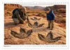 Verrückt nach Fossilien (Wandkalender 2027 DIN A4 quer), Produktbild-Vorschau 11