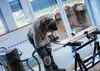 PRO Laminate clean T101BIF Stichsägeblatt, 83 mm, 5-tlg. Produktbild-Vorschau 8