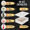 DELICRET - Starter-Kit Pizza | Pizzaballenbox mit Original Produktbild-Vorschau 6