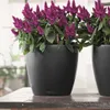 LECHUZA-Pot de plantes CLASSICO Color 35 gris ardoise | Pot Voir les images du produit 6