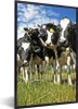 MuchoWow® Gerahmtes Poster Kühe - Gras - Wiese - Tiere Produktbild-Vorschau 1