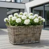 Panier en rotin pour plantes lot de 2 XXL 60 cm Kubu gris Voir les images du produit 9