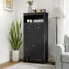A black storage cabinet with two doors and two drawers is shown in a room setting, next to a potted plant and a striped armchair. Anteprima dell’immagine prodotto