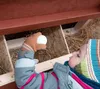 Hühnerstall Mitte EZ Chicken Home Rot, 1,68 m² - Produktbild-Vorschau 17