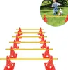 YARDIN Sportovní sada 6 překážek pro koordinační trénink s Náhled obrázku produktu 1