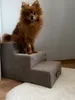 A small, fluffy brown dog sits on a beige, three-step pet ramp. Anteprima dell’immagine prodotto