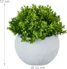 Relaxdays - Plantes artificielles, lot de 3, plantes Voir les images du produit 4