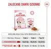 Royal Canin Kitten, Kocięta, Drób, 4 kg Podgląd zdjęcia produktu 18