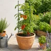 KADAX Podpora do pomidorów 132 x 30 cm, 6 sztuk, wieża do Podgląd zdjęcia produktu 4