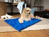 TrendPet Arctic Komfort, tappetino rinfrescante per cani, Anteprima dell’immagine prodotto 7