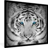 MuchoWow® Gerahmtes Poster Tiger - Winter - Tiere 40x40 cm Produktbild-Vorschau 1