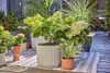 Zavlažovací sada Gardena Terasa Náhled obrázku produktu 19