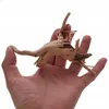 Aquarium Wurzel Red Moor XS 10-15 cm, natürliche Deko für Produktbild-Vorschau 8