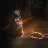 Guinzaglio e collare luminosi per cani – Guinzaglio per Anteprima dell’immagine prodotto 5