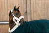 Kentucky Horsewear Turnierdecke 160g Show Rug Dark Green Produktbild-Vorschau 4