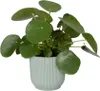 Blumentopf Elho Vibes Fold Kunststoff Ø 16,1 cm H 14,8 cm Produktbild-Vorschau 4
