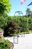 GardenAndPools Rosenbogen Paris Rund B-1,20 m Schwarz Produktbild-Vorschau 1