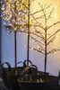 Three decorative trees with LED lights in black planters. Produktbild-Vorschau