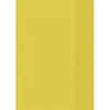 BRUNNEN Hefthülle A4 transparent gelb Folie 104050410 Produktbild-Vorschau 1