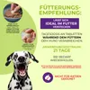 Saint Nutrition® Wurmixit - Wurmmittеl für Hunde – Wurmkur Produktbild-Vorschau 5