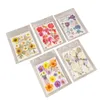 Five sealed plastic pouches, each containing dried pressed flowers, arranged diagonally on a white background. Náhled obrázku produktu