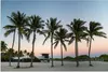 MuchoWow® Poster Eine Reihe von Palmen vor einem farbigen Produktbild-Vorschau 1