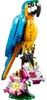 Stavebnica LEGO Creator 31136 Exotický papagáj (253 Náhľad obrázku produktu 37