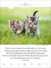 Literaturkalender Katzen 2027 Produktbild-Vorschau 13