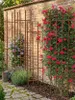 SET 3x Rankgitter 150 x 36 cm Rost - Rankhilfe Garten - Produktbild-Vorschau 3