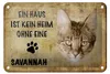 Blechschild Spruch 18x12cm Savannah Katze ohne kein Heim Produktbild-Vorschau 1