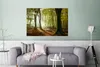 MuchoWow® Poster Wald - Sonne - Jahreszeiten - Landschaft Produktbild-Vorschau 5