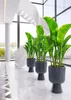 KADAX Blumentopf in Kelchform "Golem", aus Kunststoff, Produktbild-Vorschau 16