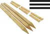 TIMBERMIK Baumstütze Komplettset Rankhilfe Baumpfahl ø 7cm Produktbild-Vorschau 4