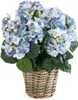Emerald Künstliche Hortensie - Levi | 45 cm, für drinnen, Produktbild-Vorschau 1