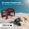 A dog sleeping on clouds next to a dog carrier. Anteprima dell’immagine prodotto