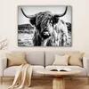 OneMillionCanvasses® - Plátno - Skotský horal - Příroda - Náhled obrázku produktu 6