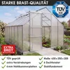 BRAST Gewächshaus Aluminium mit Fundament | 430x250x205cm | Produktbild-Vorschau 8