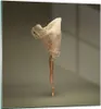 Bilder auf glas - Einteilig - Ballerina Figur Tanzen - Produktbild-Vorschau 1